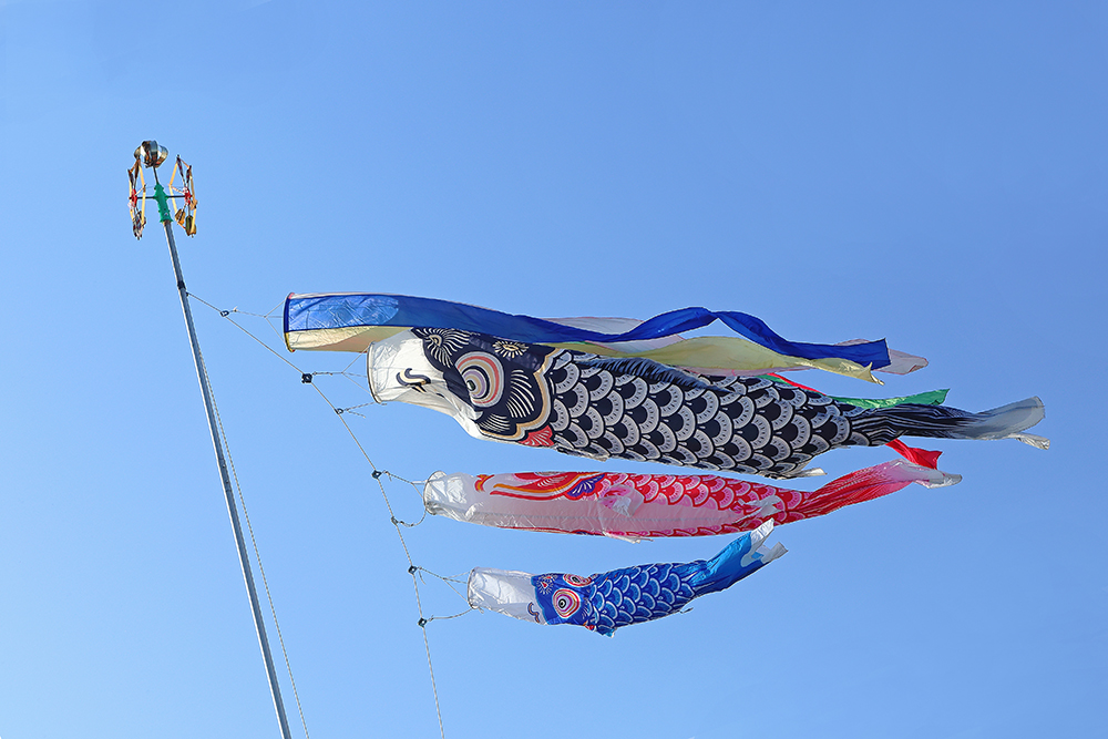 こどもの日に鯉のぼりを飾るのはなぜ Mahoroba マホロバ